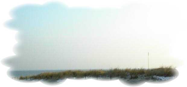 D&uuml;ne am Gr&ouml;mitzer Strand, nahe des Yachthafens