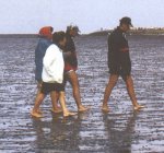 Wattwandern1 in B&uuml;sum